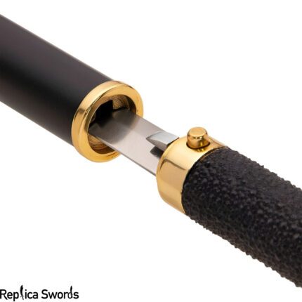 Secret Independent Service Sword Cane Rapier blade